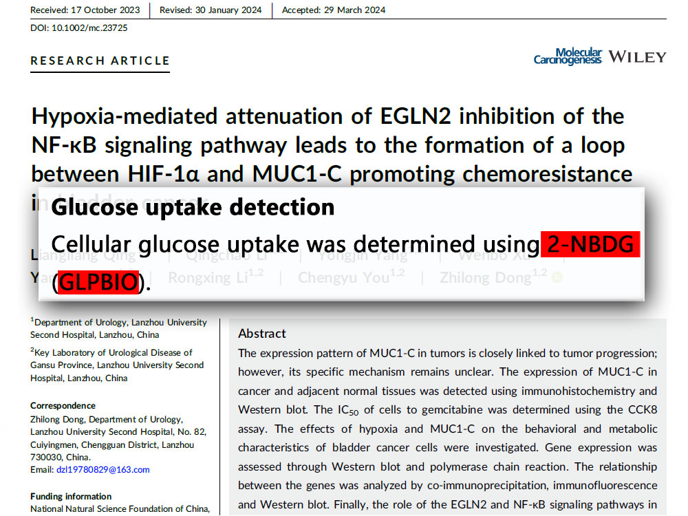2-NBDG | Fluorescent glucose analogs | CAS NO.:186689-07-6 | GlpBio