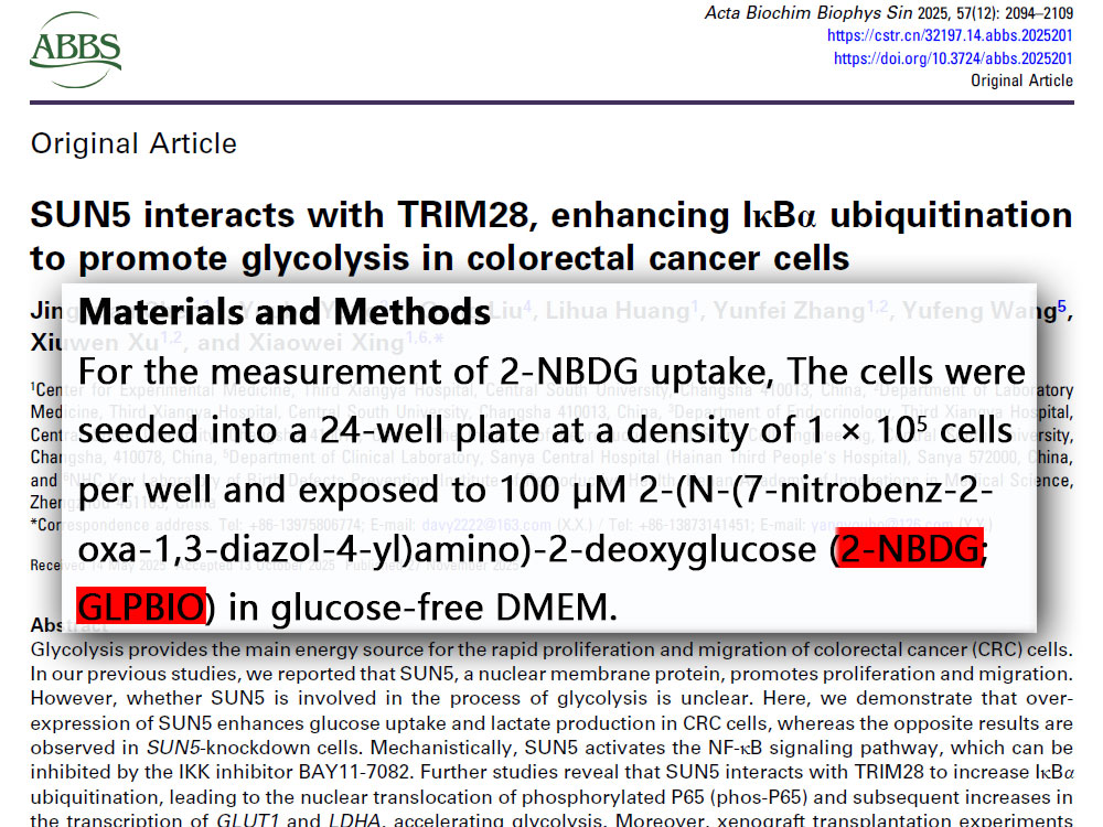 2-NBDG | Fluorescent glucose analogs | CAS NO.:186689-07-6 | GlpBio