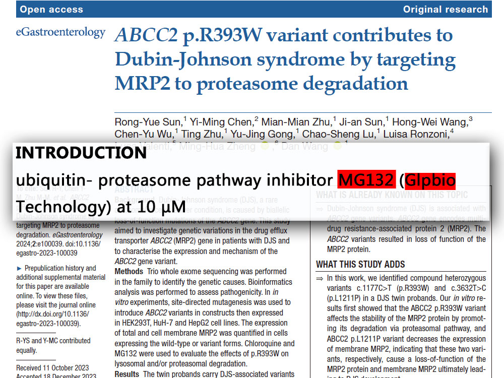 MG-132 | Cell permeable proteasome inhibitor | GlpBio