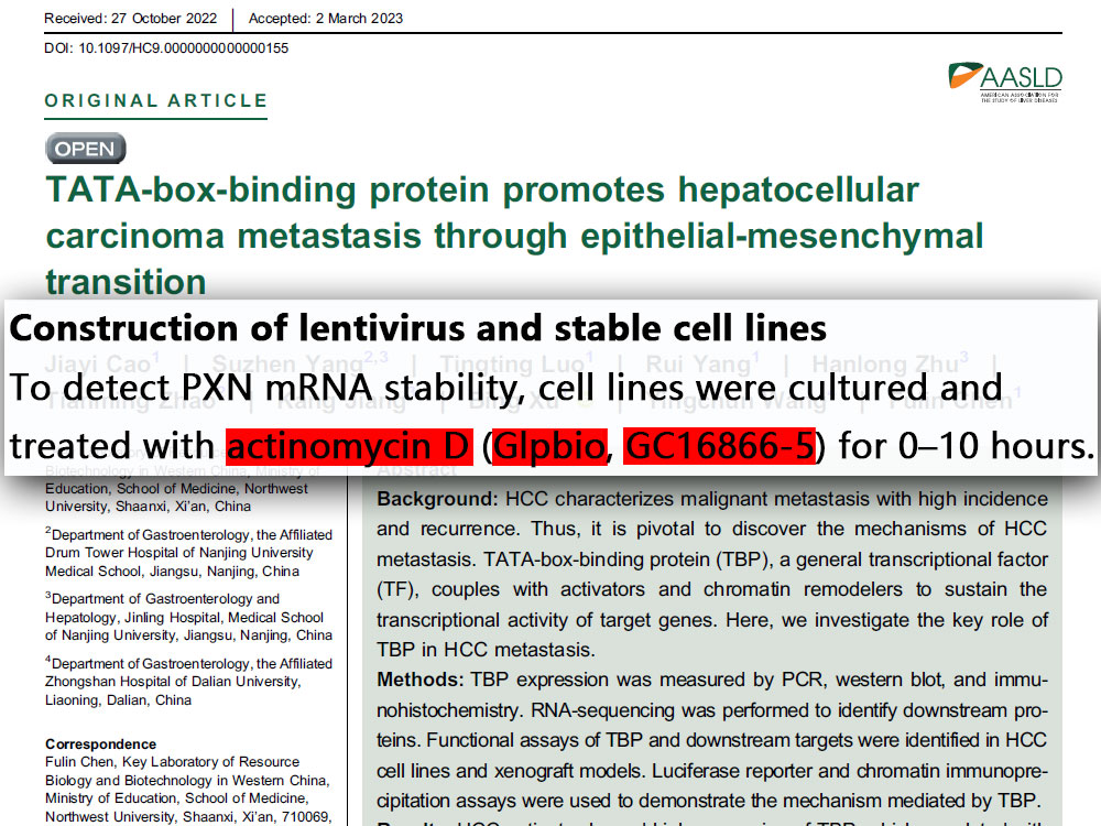 Actinomycin D | RNA polymerase inhibitor | CAS NO.:50-76-0 | GlpBio