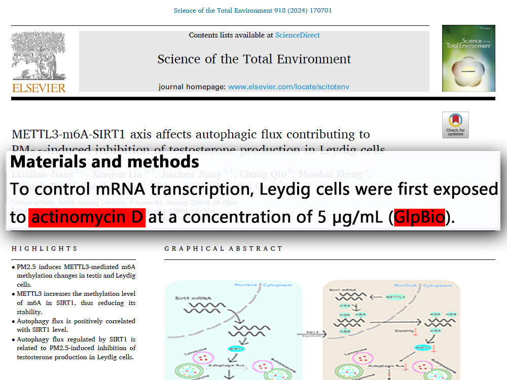 Actinomycin D | RNA polymerase inhibitor | CAS NO.:50-76-0 | GlpBio