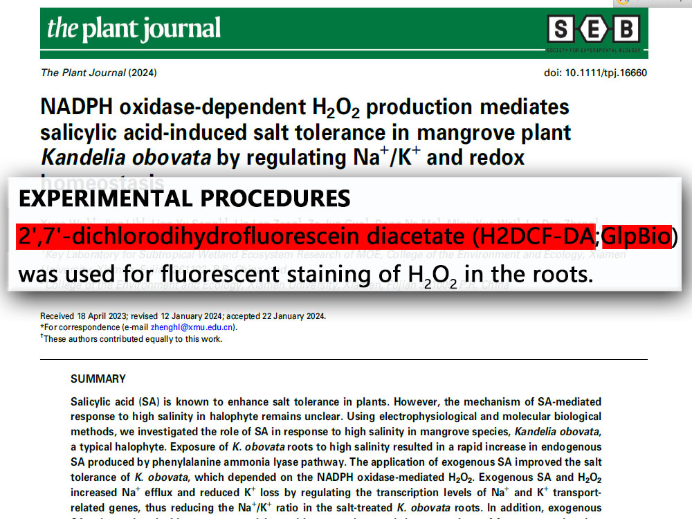 H2DCFDA (DCFH-DA) | Redox-sensitive fluorescent probe | GlpBio