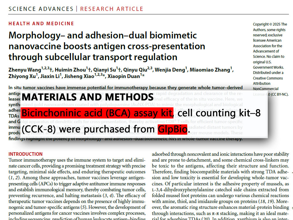 BCA Protein Assay Kit (BCA蛋白浓度测定试剂盒)-美国GlpBio