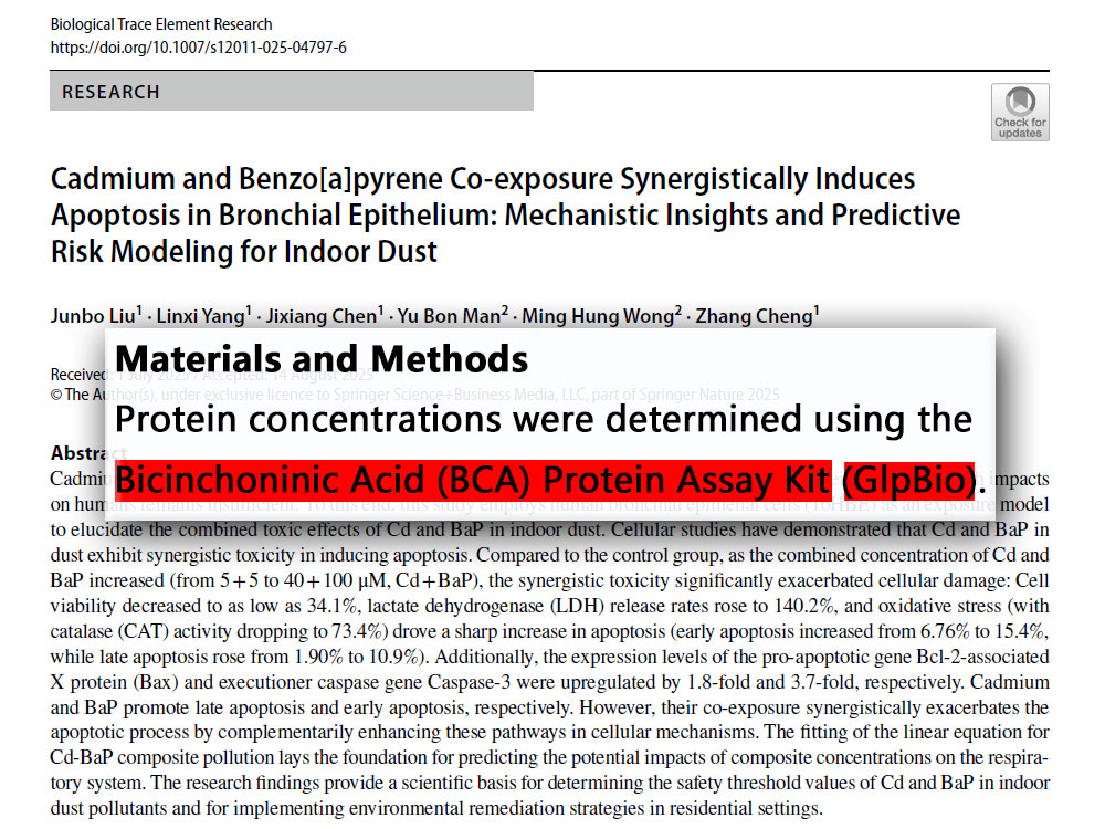 BCA Protein Assay Kit (BCA蛋白浓度测定试剂盒)-美国GlpBio