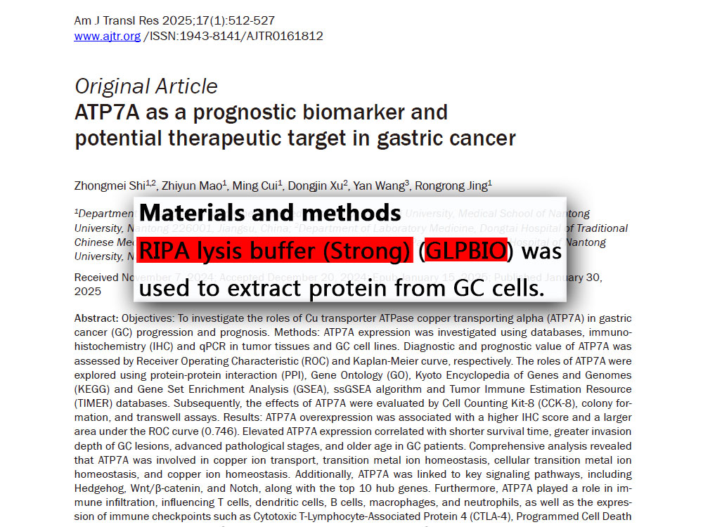 RIPA裂解液|RIPA Lysis Buffer (Strong) - 美国GlpBio
