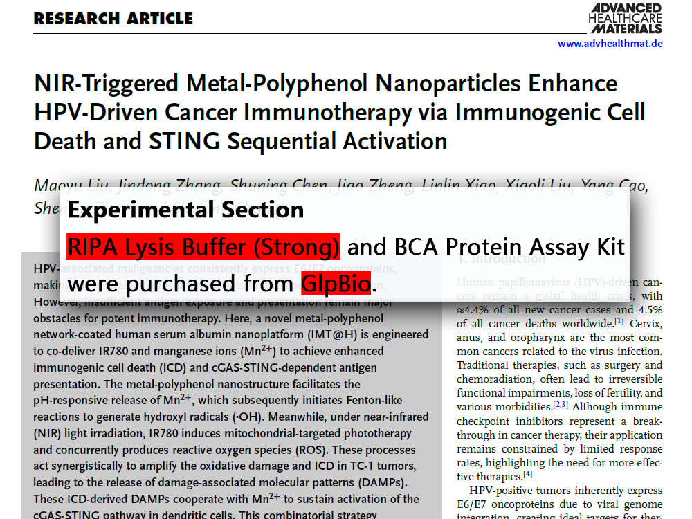 RIPA裂解液|RIPA Lysis Buffer (Strong) - 美国GlpBio