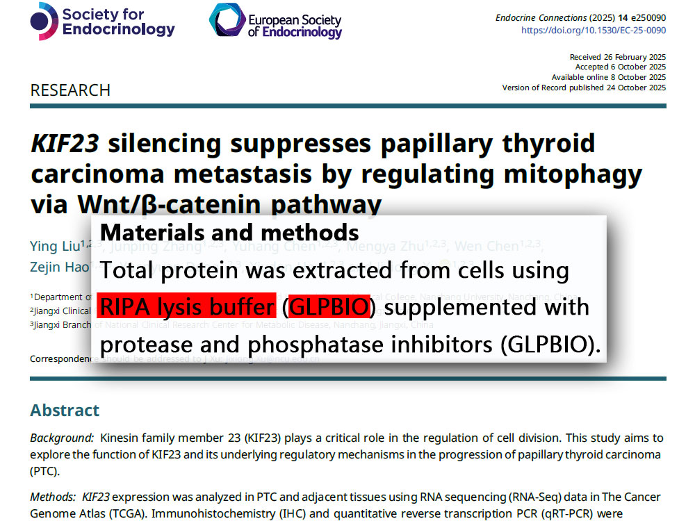 RIPA裂解液|RIPA Lysis Buffer (Strong) - 美国GlpBio
